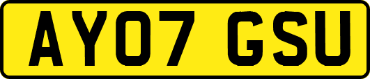 AY07GSU
