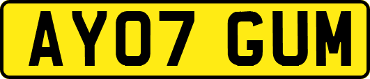 AY07GUM