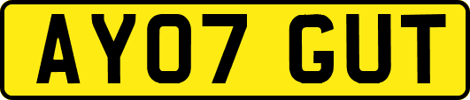 AY07GUT