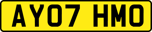 AY07HMO