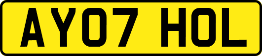 AY07HOL