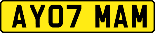 AY07MAM