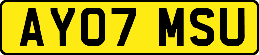 AY07MSU