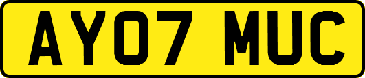 AY07MUC