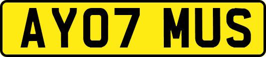 AY07MUS