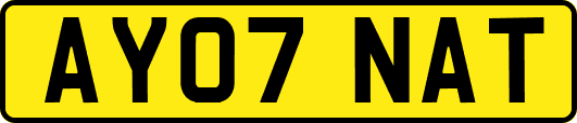 AY07NAT