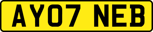 AY07NEB
