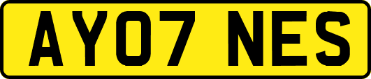 AY07NES