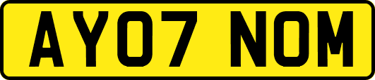 AY07NOM