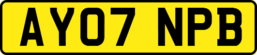 AY07NPB
