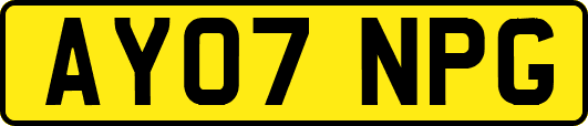 AY07NPG