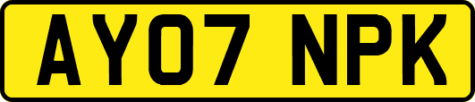 AY07NPK
