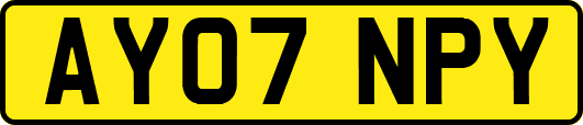 AY07NPY