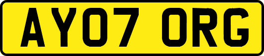 AY07ORG