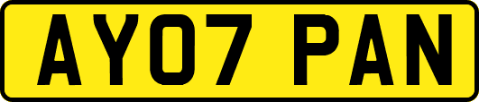 AY07PAN