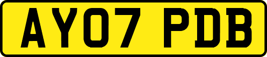 AY07PDB