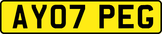 AY07PEG