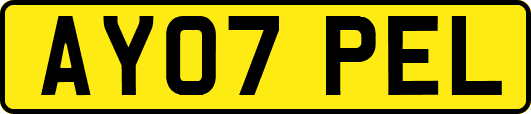 AY07PEL