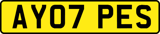 AY07PES