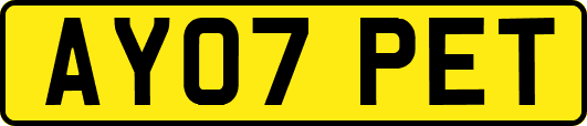 AY07PET