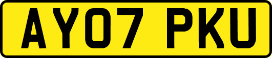 AY07PKU