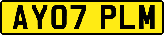 AY07PLM