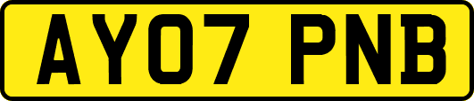 AY07PNB
