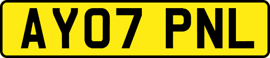 AY07PNL