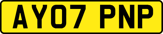 AY07PNP