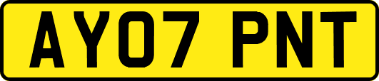 AY07PNT