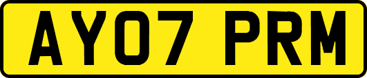 AY07PRM