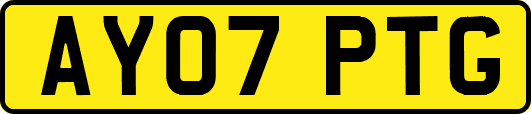 AY07PTG