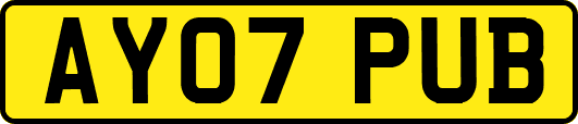 AY07PUB