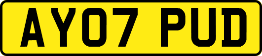 AY07PUD