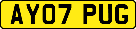 AY07PUG