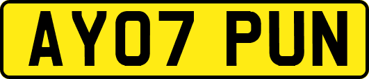 AY07PUN