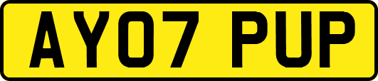 AY07PUP