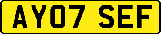AY07SEF