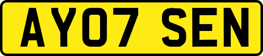AY07SEN