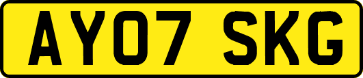 AY07SKG