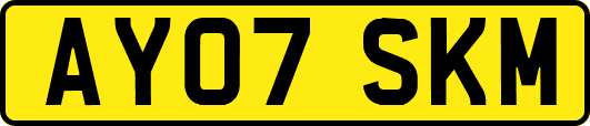 AY07SKM