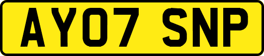 AY07SNP