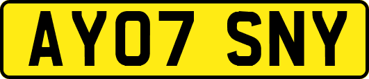 AY07SNY