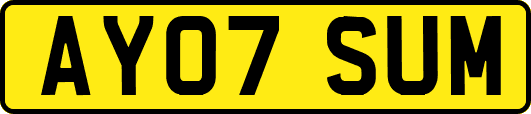 AY07SUM