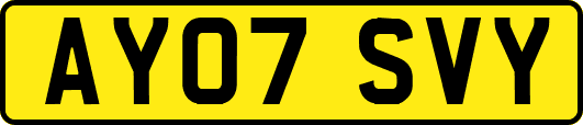 AY07SVY