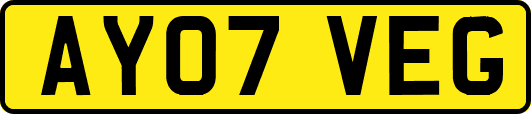 AY07VEG