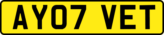 AY07VET