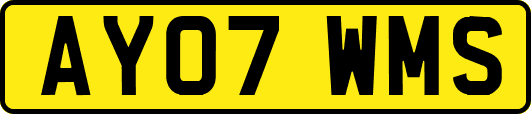 AY07WMS