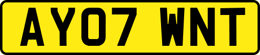AY07WNT