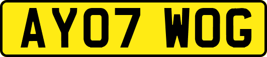 AY07WOG